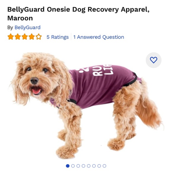 Belly guard cone alternative “ruff life” size small brand new without tag - Picture 2 of 3
